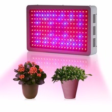 populargrow 600w Led Grow Light for grow tent greenhouse stock in the US/DE warehouse free shipping 2024 - buy cheap