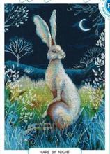 14/16/18/27/28 Gold Collection Counted Cross Stitch Kit Hare By Night Rabbit Bunny rto M611 2024 - compre barato