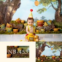 Newborn Backdrop for Photography Baby Shower Birthday Party Newborn Fairy Photo Background for Children Portrait Backdrop Studio 2024 - buy cheap