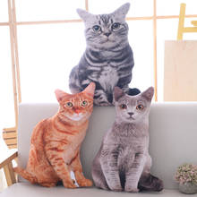 Kawaii Cat Toys Simulation Stuffed Animal Soft Doll Lifelike Plush Pillow Orange Grey Brown cushion  for Children Kids Gift 2024 - buy cheap