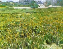 Vincent Van Gogh paintings of Wheat Field at Auvers with White House impressionism art High quality Hand painted 2024 - buy cheap