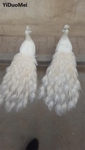 Pavão branco branco 80cm para amantes, pavão pássaro lote/2 peças, modelo artesanato, adereço, decoração de jardim para casa presente p2888 2024 - compre barato
