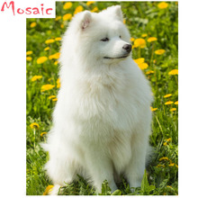 Full Square Diamond 5D DIY Diamond Painting Photo Custom Dog "Samoyed" 3D Embroidery Cross Stitch Mosaic Decor 2024 - buy cheap