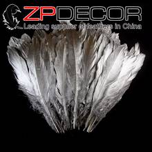 ZPDECOR Feather 1000pcs/lot Hand Select Premuim Quality Silver Metallic Goose Satinettes Loose Feathers Wholesale for Costume 2024 - buy cheap