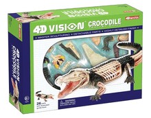MESTRE 4D animal crocodilo modelos montados anatômico Médico modelo de ensino de Ciências 2024 - compre barato