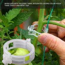50pcs Plastic Plant Support Clip Fastener Plants Hanging Vines Vegetable Tomato Farming Plant Clip Greenhouse Gardening Tools 2024 - buy cheap