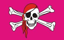 Caveira e Ossos Cruzados (Rosa pirata) 3ft x 5ft bandeira de Poliéster Bandeira Bandeira do Vôo 150*90 centímetros bandeira Personalizada ao ar livre 2024 - compre barato