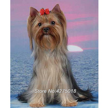 DIY Diamond Painting Cross Stitch Yorkshire Terrier Pet Dog 5D Drill Mosaic Embroidery Full Square Rhinestones YG401 2024 - buy cheap