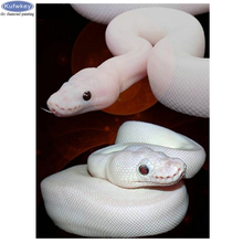 DIY Diamond Painting Animal White snake Pictures of Rhinestones Diamond Embroidery 5D Needlework Diamond Mosaic Handmade Gift 2024 - buy cheap