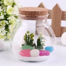 New Arrival Cute Design Tea Coffee Sugar Glass Canisters Flower Plant Vase Pot Home Decoration Party Transparent Beauty 2024 - buy cheap