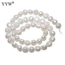 Coin Pearl Cultured Freshwater Pearl Beads, White Pearl Beads for Jewelry Making 10-11mm Approx 15.5 Inch Strand 2024 - buy cheap