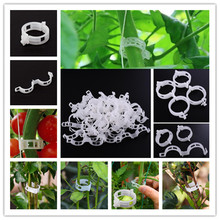 50 Trellis Tomato Clips Supports/Connects Plants/Vines Trellis/Twine/Cages Plant Vine Tomato Vegetable Fastening Clip Garden 2024 - buy cheap