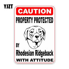 YJZT 11,4*16 см собственность, защищенная родезианом риджбэк собака, украшение автомобиля, наклейка на бампер и окно 2024 - купить недорого