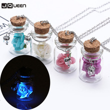 Girls Romantic Dry Flower Pendant Necklace Luminous Glow In The Dark Women Fresh Glass Wish Bottle Chain Necklace Jewelry 2024 - buy cheap