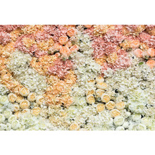 Fondos de flores de primavera para boda, telón de fondo impreso de color blanco Coral crema, rosas, pared, Princesa, fiesta temática 2024 - compra barato