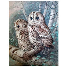 DIY Square Full Diamond Painting Owl Cross Stitch 5D Needlework Wall Art Resin Round Diamond Embroidery Mosaic Handicraft Gift 2024 - buy cheap