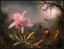 Needlework for Embroidery DIY DMC High Quality - Counted Cross Stitch Kits 14 ct Oil painting - Cattleya Orchid 2024 - buy cheap