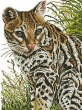 Высококачественный комплект для вышивки крестиком с изображением кошки Китти леопарда 2024 - купить недорого
