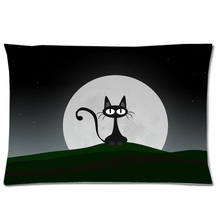¡Bien DIY funda de almohada y Pillowslip! funda de almohada decorativa estilo gato negro (lados dobles, 20x30 pulgadas) 2024 - compra barato
