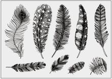 feather Stamp/Seal for DIY scrapbooking/photo album Decorative clear stamp sheets A1883 2024 - buy cheap