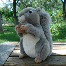 lovely cartoon squirrel plush toy about 22cm soft doll baby toy birthday gift h0916 2024 - buy cheap