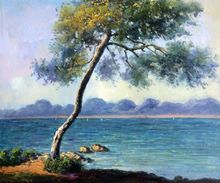 High Quality, Oil Painting Wall Decoration, Cap d' Antibes by Claude Monet, Canvas Painting Decorative Art, Handpainted 2024 - buy cheap
