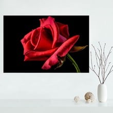 Nice Custom Rose Flower Canvas Poster Print painting Art Wall Silk Poster cloth print Fabric Poster 2024 - buy cheap