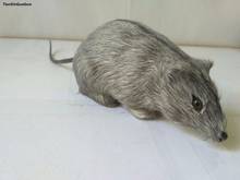 about 15cm simulation gray mouse hard model prop polyethylene&furs handicraft funny toy decoration gift s1586 2024 - buy cheap