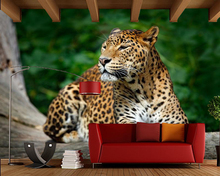 Sri Lankan leopard on the tree 3d wallpaper mural papel de parede,living room TV sofa wall bedroom wall papers home decor 2024 - buy cheap