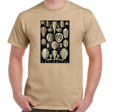 Men T-Shirt 2019 Newest 100% Cotton Brand New T-Shirts Trilobites By Haeckel, Fossils, Geology T-Shirt Cotton T-Shirt 2024 - buy cheap