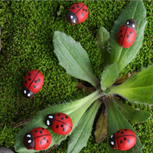 Enfeites em miniatura ladybug 100 peças, enfeites em miniatura para flor de jardim, suprimentos de plantas, decorações coloridas 2024 - compre barato