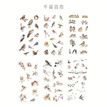 6 Sheets/Set Various Lovely Birds Decorative Sticker Scrapbooking DIY Craft Stickers Stationery 2024 - buy cheap
