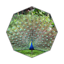 2014 Novelty Design!Beautiful Peacock Background Printed Triple Folding Rain/Sun Umbrella!Tri-folded Portable Umbrellas 2024 - buy cheap