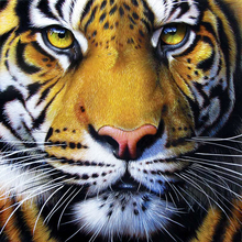 NEW 5D DIY Diamond Painting "Tiger King's Face" Animal Diamond Embroidery Cross Stitch Needlework Full Drill Home Decoration GT 2024 - buy cheap