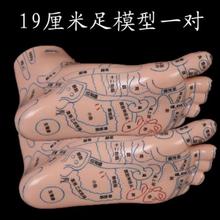 19CM Lettering pvc foot mannequin meridian acupoint reflection area map / medical massage sole point tool teaching 2pc A339 2024 - buy cheap