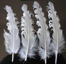 Pluma de ganso natural, plumas de ganso blancas con volumen de 6 a 8 pulgadas/15-20 cm, 50 Uds. 2024 - compra barato