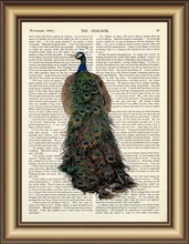 Peacock Dictionary Canvas painting wall Art Print Poster Pictures Home Decoration Vintage Book Page Print wall hanging decor 2024 - buy cheap