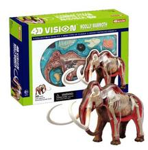 4D Master simulation mammoth anatomical assembly model can be disassembled 2024 - buy cheap