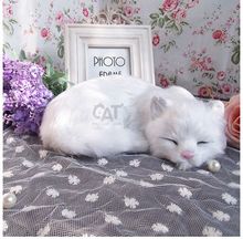 cute white simulation cat lifelike sleeping cat doll gift about 21x6x17cm 2024 - buy cheap