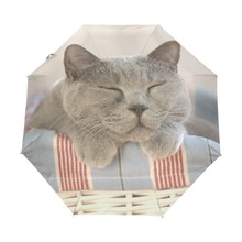 British Shorthair Cat Printed Automatic Umbrella Three Folding Classic Anti-UV Sun Rain Durable Umbrella Women Outdoor Parapluie 2024 - buy cheap