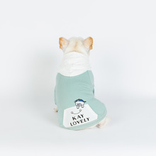 Sudadera con capucha de Bordado de letras de oso para Bulldog Francés, ropa de Chihuahua para perros pequeños, traje para mascotas, jersey de Pug y Yorkshire 2024 - compra barato
