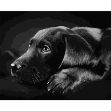 Pintura por números diy dropshipping 40x50x65cm preto labrador retriever animal lona decoração do casamento arte imagem presente 2024 - compre barato