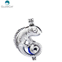 K240 5pcs/lot Silver Locket  Animal Lizard Stone Beads Cage Pendant Fairytale Party Essential Oil Diffuser 2024 - buy cheap
