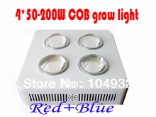 new integrated chip grow Light   red 630nm+blue 460nm 200W G3 PRO SERIES 4*50W COB LED   Hot selling 2 years Warranty 2024 - buy cheap