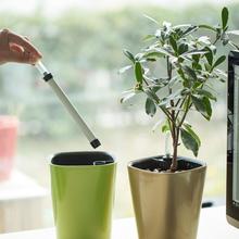 Sonda doméstica de vários tamanhos, sensor de umidade e indicador de nível de água para solo, plantas em vaso interno, branco 2024 - compre barato