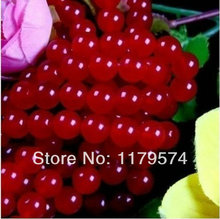 wholesale and retail New AAA 6mm RARE Red Chalcedony Round Loose Beads Accessory Parts Fashion Jewelry Making Design 15" 'WJ355 2024 - buy cheap