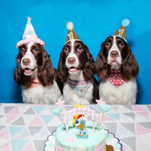 Sombrero de cumpleaños para perro, sombrero decorativo brillante para perro, diadema de Mascota, sombreros para mascotas para perros y gatos 2024 - compra barato