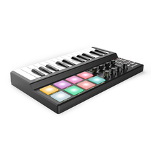 WORLDE Panda MINI 25-Key Ultra-Portable USB MIDI Keyboard Controller 8 Colorful Backlit Trigger Pads with Durable USB Cable 2024 - buy cheap