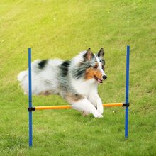 Juegos Deportivos de agilidad para perros, equipo de entrenamiento para actividades al aire libre, ejercicio de agilidad, con Estuche de transporte 2024 - compra barato