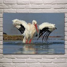 Animal Bird Stork White stork Wildlife fabric posters on the wall picture home art living room decoration KG291 2024 - buy cheap